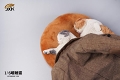 惰眠を貪る猫 1/6 フィギュア A JXK070A - イメージ画像5