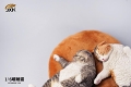 惰眠を貪る猫 1/6 フィギュア A JXK070A - イメージ画像6