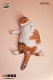 惰眠を貪る猫 1/6 フィギュア C JXK070C - イメージ画像6