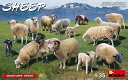 羊15頭 1/35 プラモデルキット MA38042 - イメージ画像1