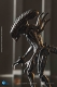 エクスクイジットミニシリーズ/ AVP2 エイリアンズ vs プレデター: エイリアン・ウォーリアー1/18 アクションフィギュア - イメージ画像7