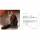 【お取り寄せ品】STAR TREK DISCOVERY BOOK OF GRUDGE BOOKS CAT HC / SEP211586 - イメージ画像2