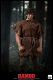 【お取り寄せ終了】ランボー Rambo First Blood/ ジョン・ランボー 1/6 アクションフィギュア - イメージ画像10