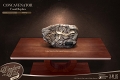 ワンダーズ・オブ・ザ・ワイルド/ コンカヴェナトル 化石レプリカ - イメージ画像2