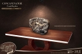 ワンダーズ・オブ・ザ・ワイルド/ コンカヴェナトル 化石レプリカ - イメージ画像3