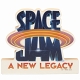 SPACE JAM LOGO CHUNKY WOOD / OCT212806 - イメージ画像1