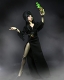 Elvira/ エルヴァイラ 8インチ アクションドール - イメージ画像7