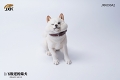 反逆の犬種 柴犬 1/6 フィギュア A2 JXK090A2 - イメージ画像1