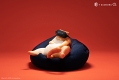 Lazy animals series レイジーアニマルシリーズ by guodong/ オレンジ猫 ビニールフィギュア - イメージ画像1