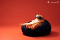 Lazy animals series レイジーアニマルシリーズ by guodong/ オレンジ猫 ビニールフィギュア - イメージ画像3