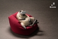 Lazy animals series レイジーアニマルシリーズ by guodong/ シャム猫 ビニールフィギュア - イメージ画像2