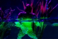 ユニバーサルモンスター/ 大アマゾンの半魚人: ギルマン 6インチ アクションフィギュア 限定 グロー・イン・ザ・ダーク ver - イメージ画像5