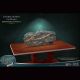 ワンダーズ・オブ・ザ・ワイルド/ ダンクルオステウスの化石 レプリカ - イメージ画像4