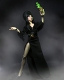【再入荷】Elvira/ エルヴァイラ 8インチ アクションドール - イメージ画像7
