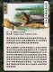空想造物 KONGZOO/ 水陸精霊 トレーディングフィギュア: 9個入りボックス - イメージ画像11