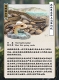 空想造物 KONGZOO/ 水陸精霊 トレーディングフィギュア: 9個入りボックス - イメージ画像4