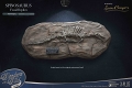 ワンダーズ・オブ・ザ・ワイルド/ スピノサウルス スタチュー DX ver - イメージ画像16