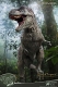 ワンダーズ・オブ・ザ・ワイルド/ T-REX ティラノサウルスレックス スタチュー - イメージ画像1