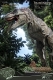 ワンダーズ・オブ・ザ・ワイルド/ T-REX ティラノサウルスレックス スタチュー - イメージ画像4
