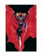 DCコミックス/ バットウーマン by アレックス・ロス アートプリント - イメージ画像1