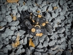 橘猫工業 水産箱/ シオマネキ プラモデルキット ゴールドブラック ver - イメージ画像9