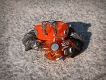 橘猫工業 水産箱/ シオマネキ プラモデルキット シルバーレッド ver - イメージ画像9