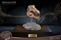 ワンダーズ・オブ・ザ・ワイルド/ スピノサウルスの頭部の化石 レプリカ - イメージ画像2