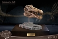 ワンダーズ・オブ・ザ・ワイルド/ スピノサウルスの頭部の化石 レプリカ - イメージ画像3