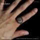 ダークソウル × TORCH TORCH/ リングコレクション: スズメバチの指輪 17号 - イメージ画像2