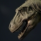 【復刻版】ティラノサウルス タイプB ミドル ソフビキット - イメージ画像5