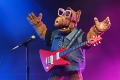 ALF/ アルフ ゴードン・シャムウェイ アルティメット アクションフィギュア ボーン・トゥ・ロック ver - イメージ画像9