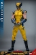 【お一人様1点限り】Deadpool & Wolverine/ ムービー・マスターピース 1/6 フィギュア: ウルヴァリン - イメージ画像5