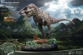 ワンダーズ・オブ・ザ・ワイルド/ ティラノサウルス・レックス ポリレジンキット - イメージ画像3