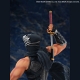 NINJA GAIDEN シリーズ/ リュウ・ハヤブサ 1/7 PVC - イメージ画像15